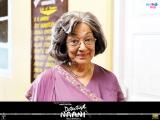 Detective Naani (2009)
